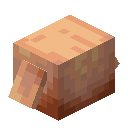 Piglin Head