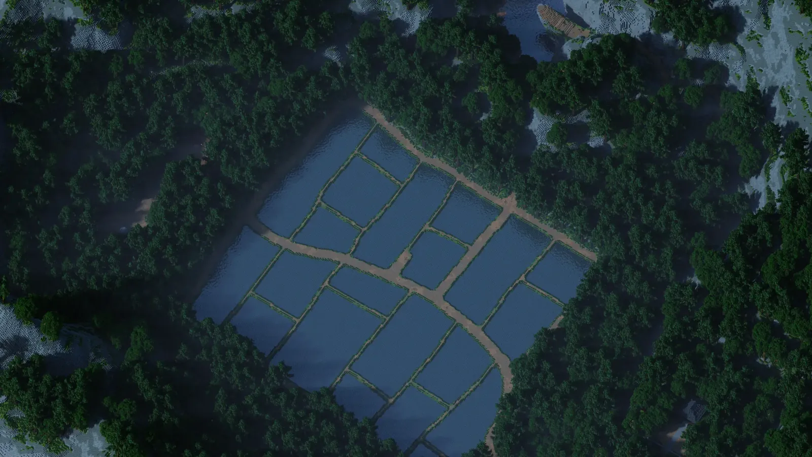 Rice field